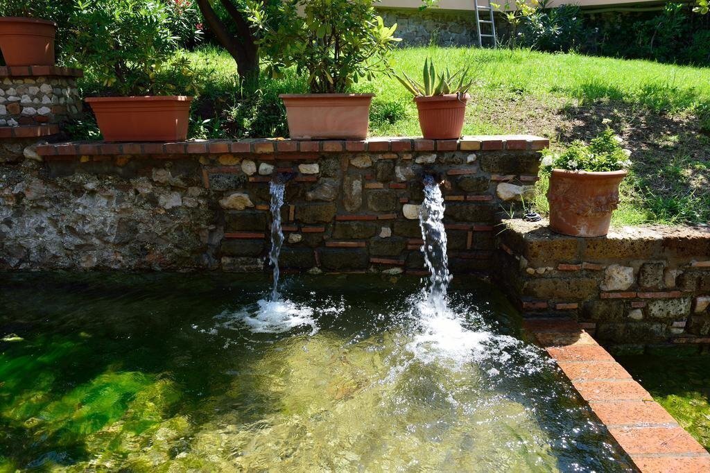 Acquasanta 3* суреті