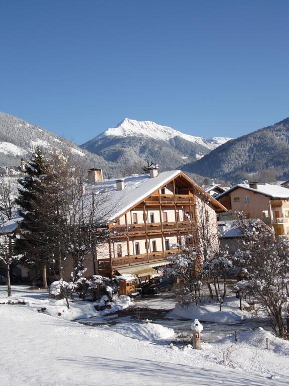 Bellaria 3* суреті