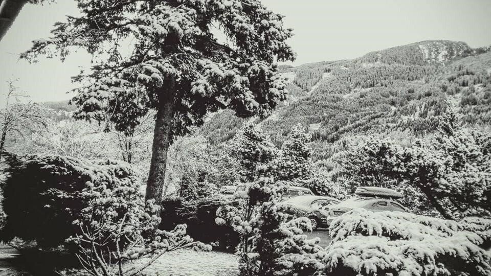 Фото Regina Delle Dolomiti (Panchia) 3*