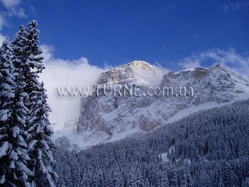 Изображение Aida 2*