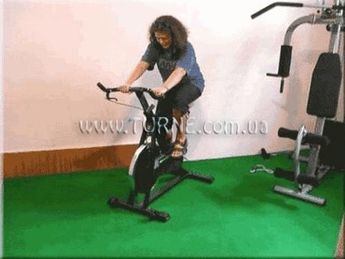 Картинка Festil 2*