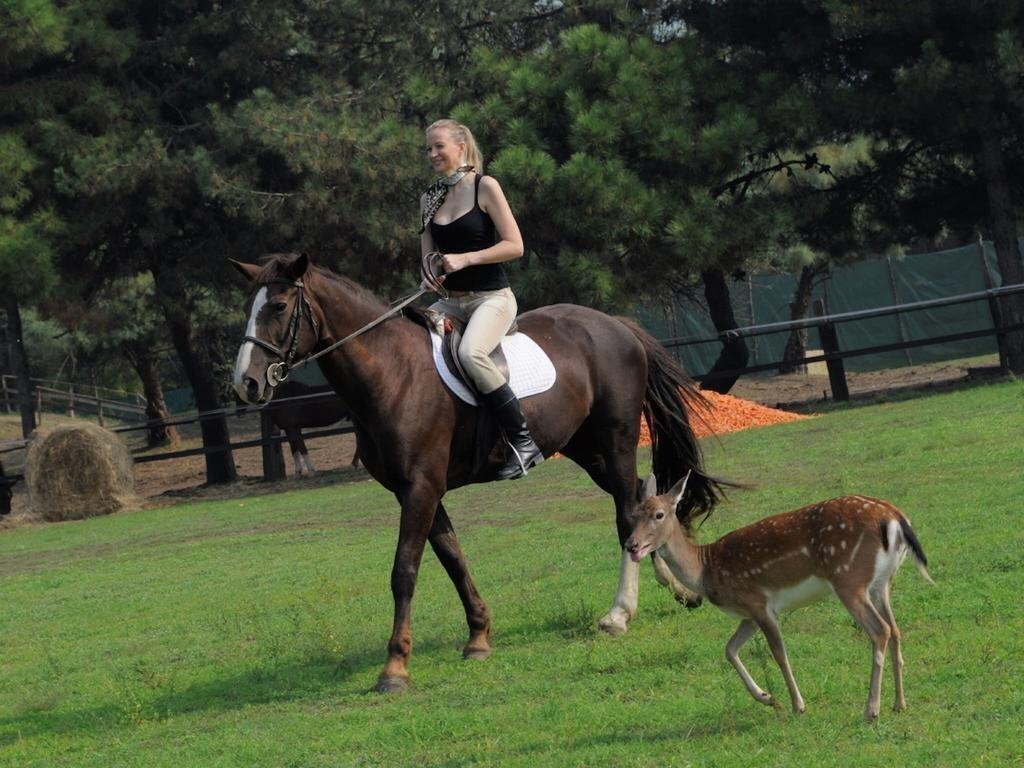 Albarella Island Apartments 1* суреті