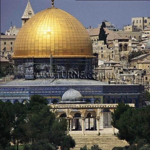 Фотография Bingo 3* 3*