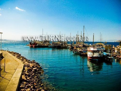 Отель Bingo 3* 3*