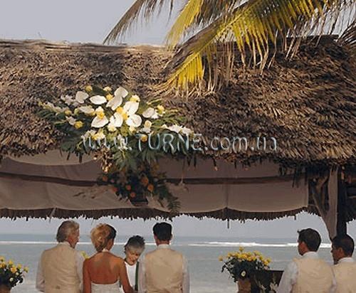 Driftwoodbeach Club 1* қонақ үйі