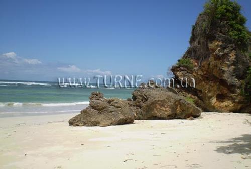 Msambweni Beach House & Privates Villas 5* суреті