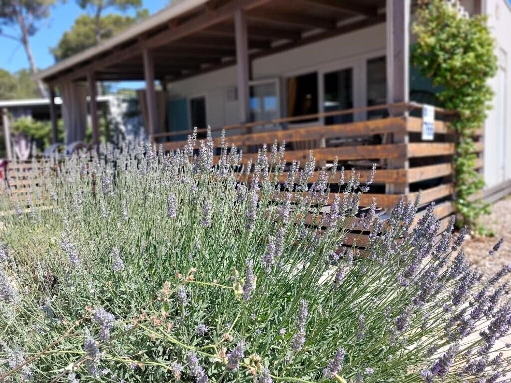 Отель Holiday Homes Camp Park Soline 3*