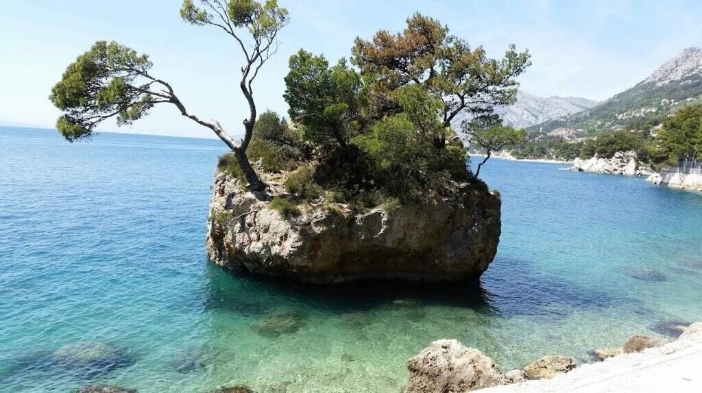 Фотография App Mario Brela 3*