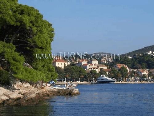 Albatros Hotel 4* суреті