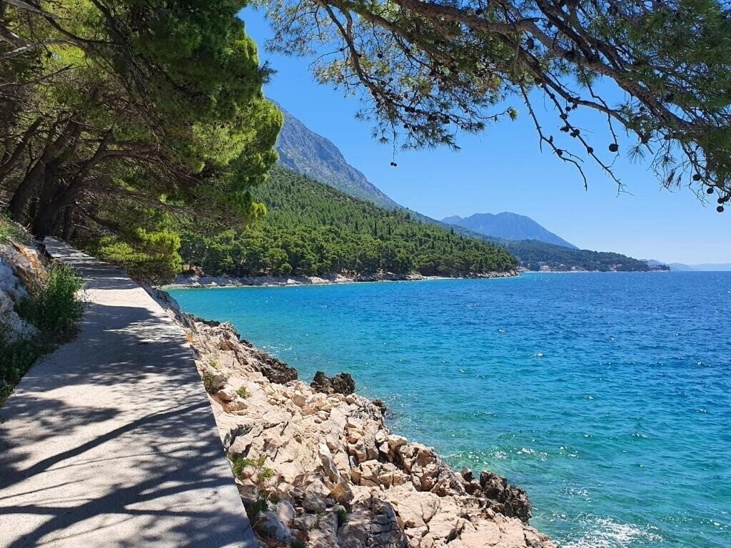 Hotel Ivando 4* суреті