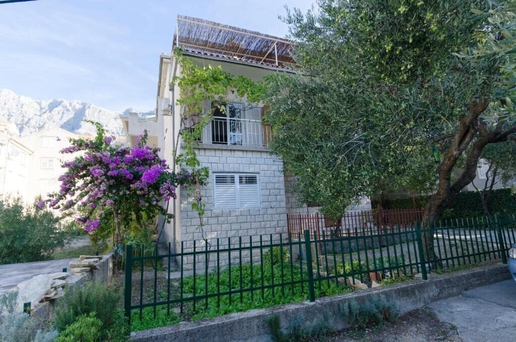 App Jadro 3* қонақ үйі