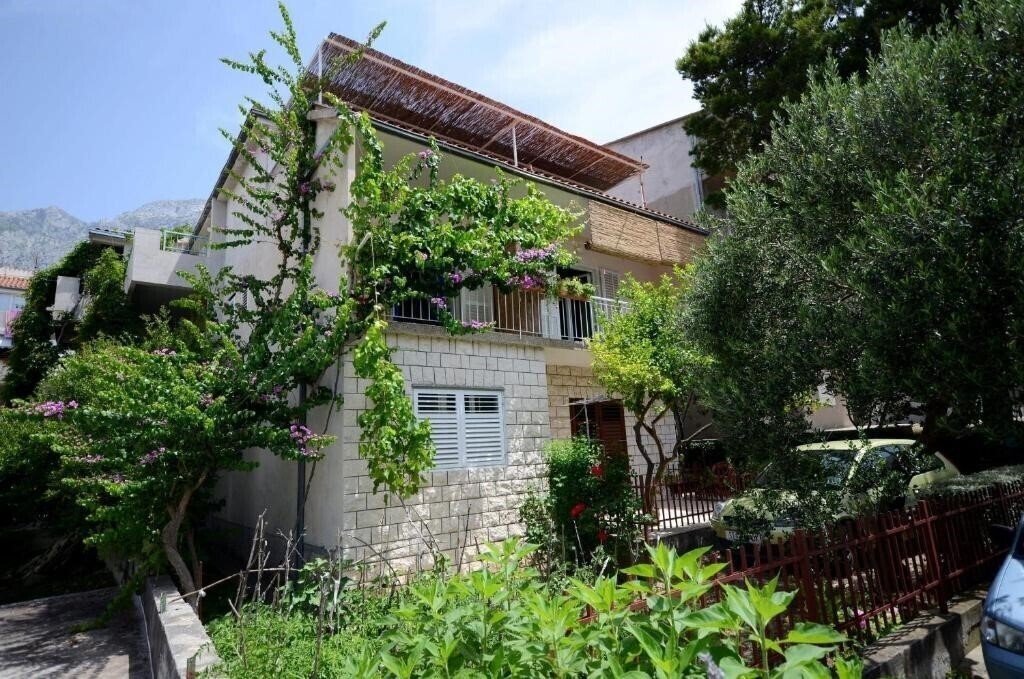 App Jadro 3* суреті