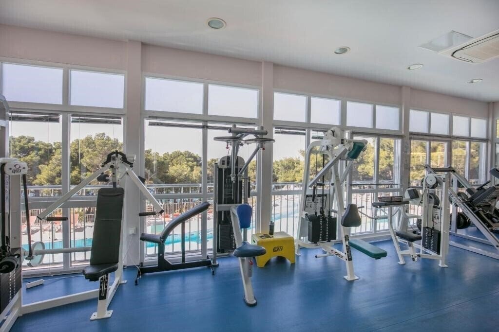 Aurora 4* суреті