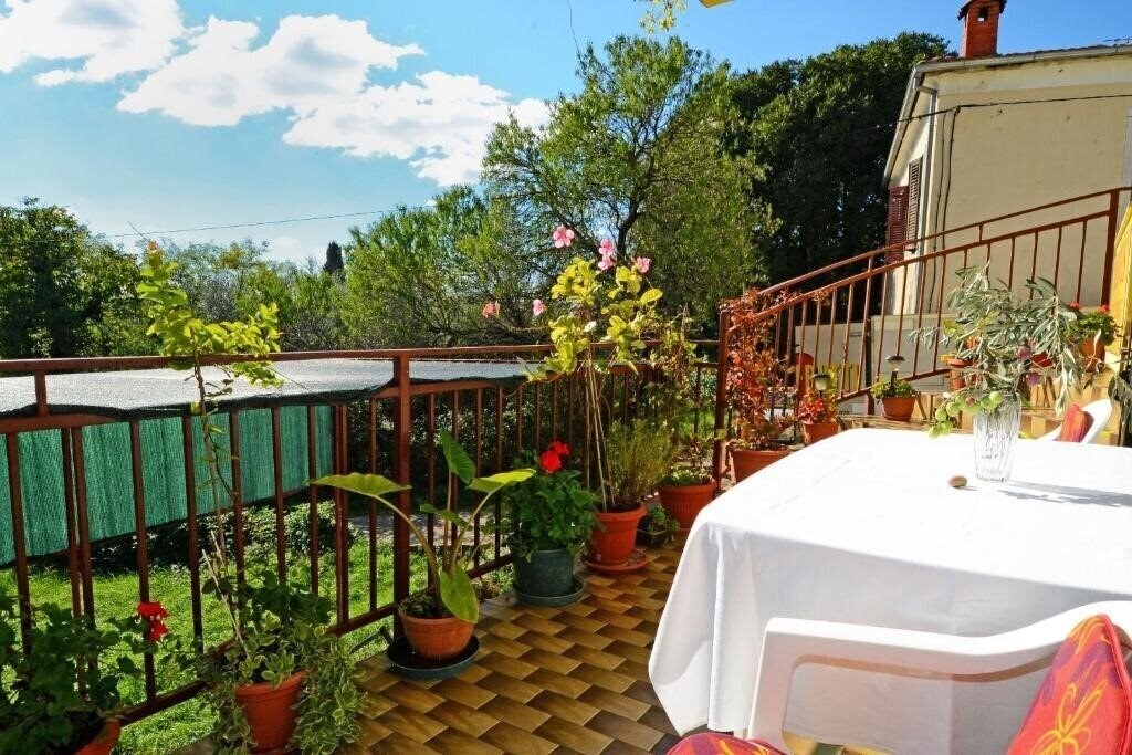 App & Room Tomc 3* суреті