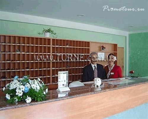 Отель Hotel Narcis 3*