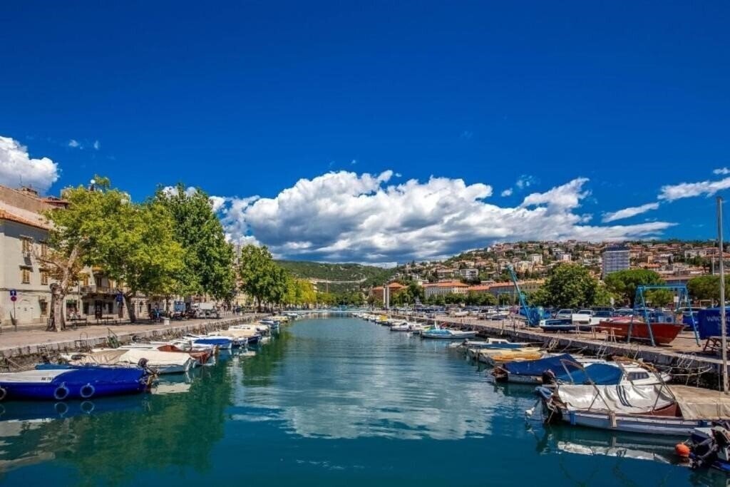 App Greis 2* суреті