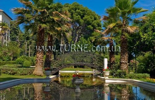 Katarina 3* суреті