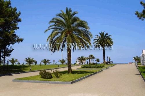 Изображение Skiper Suite Superior 5*