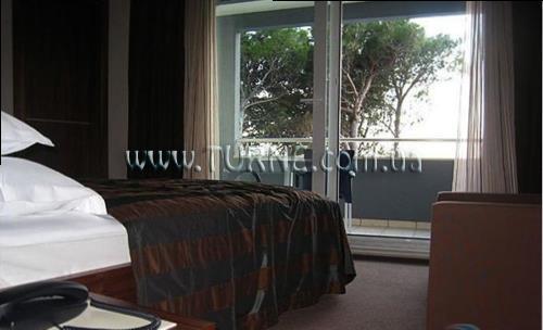 Plaza 4* фотосуреті