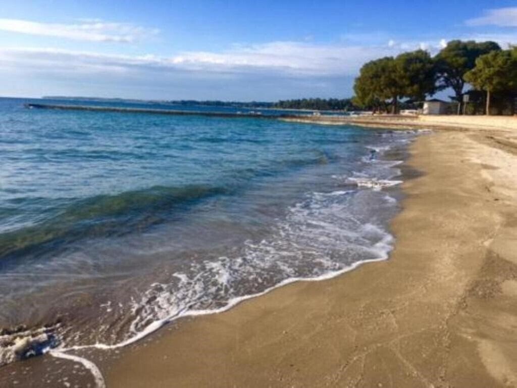 App Noel 4* суреті