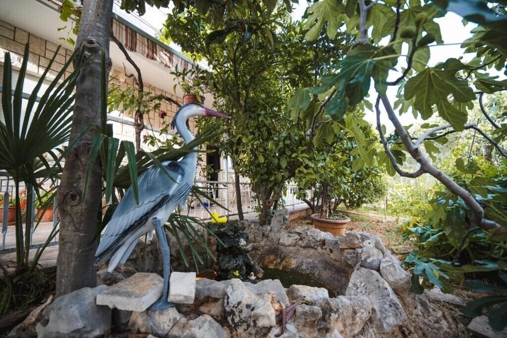 App Ivan House апартаменты фотосуреті