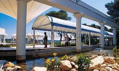 Фотография Pineta Hotel 3*