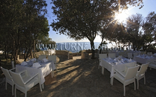 Картинка Diadora Family 4*