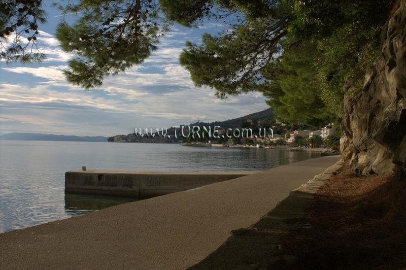 Paviljoni Nimfa 3* суреті