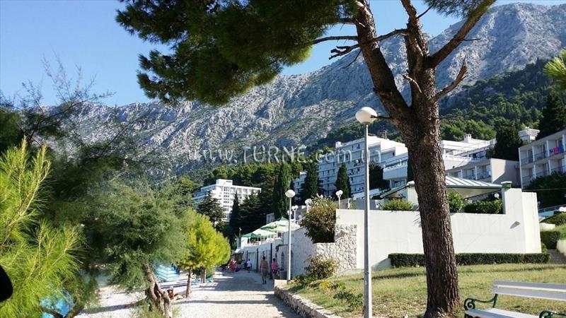 Paviljoni Nimfa 3* суреті