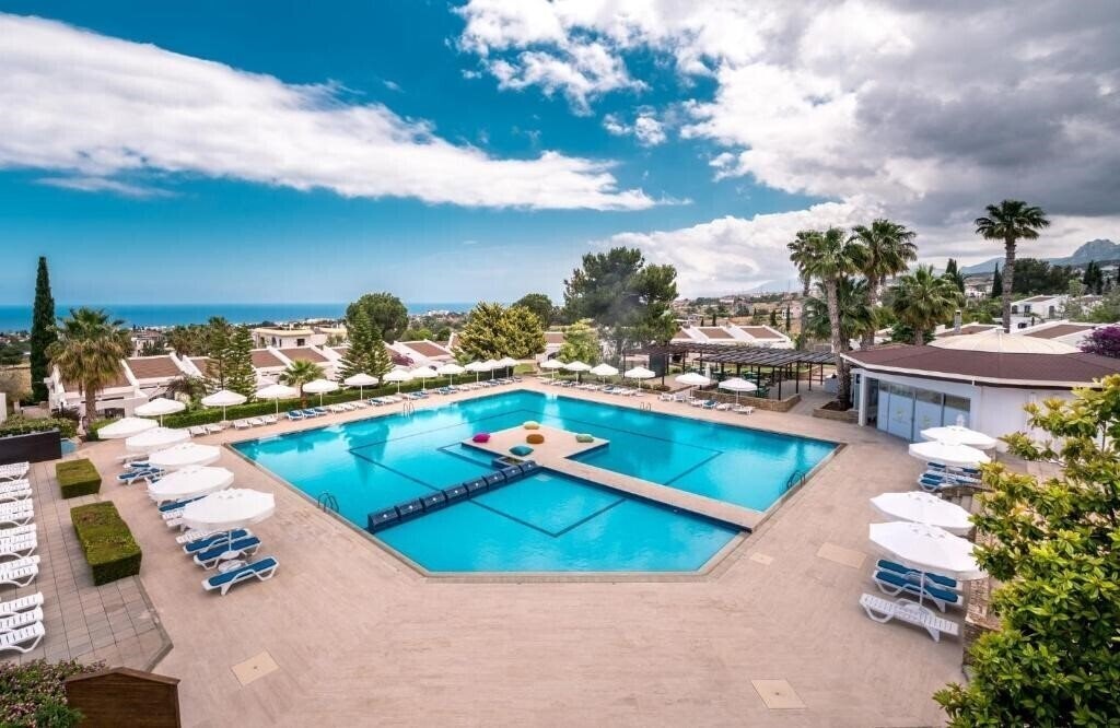 Фотография Olive Tree Hotel 3*