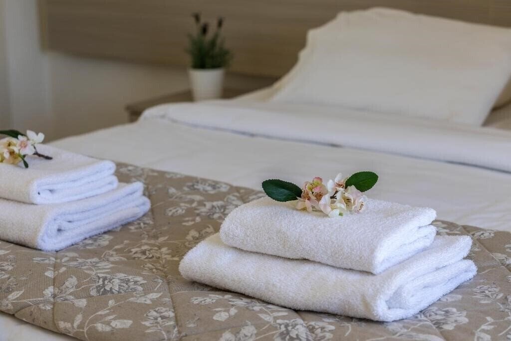 Cactus Hotel 2* суреті