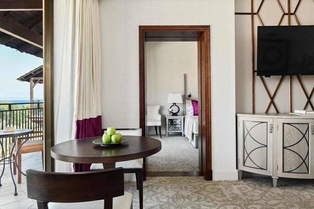 Elysium 5* суреті