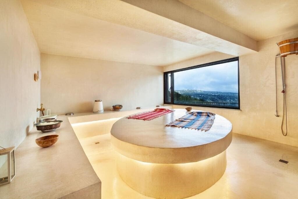 Troodos Hotel 3* суреті