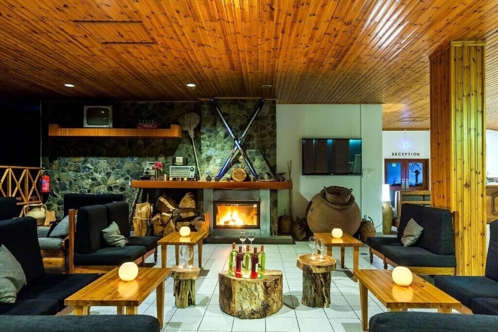 Troodos Hotel 3* суреті