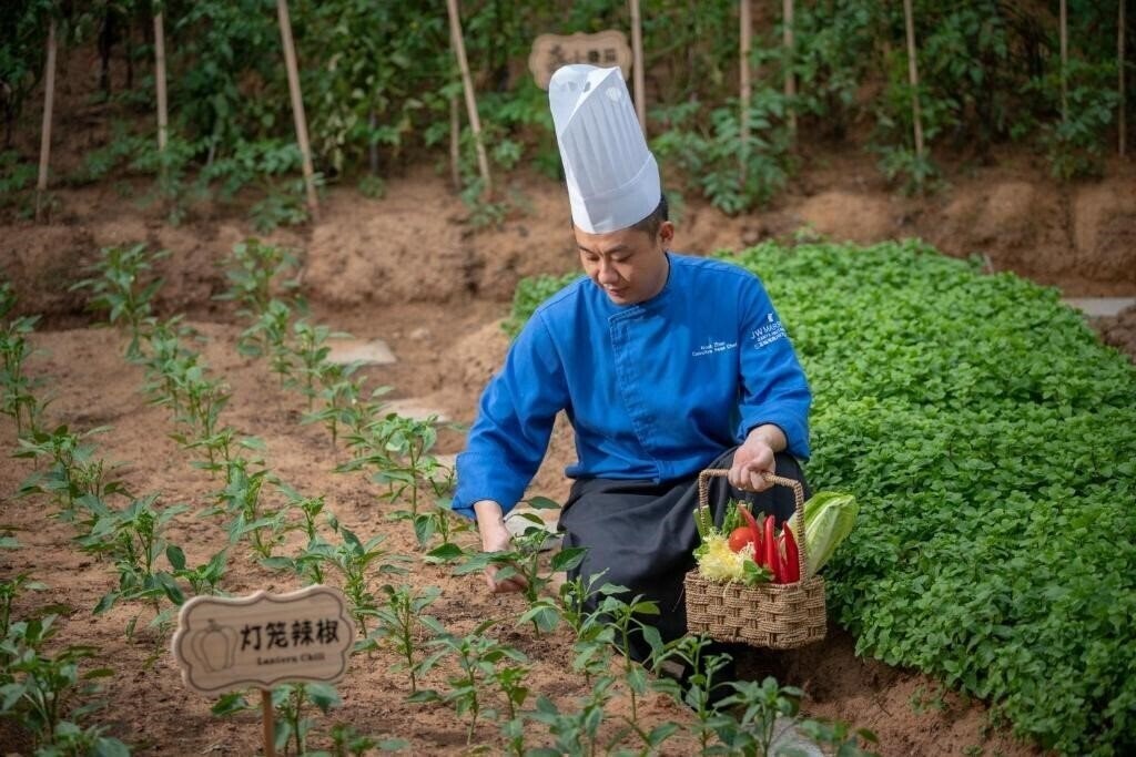 Jw Marriott Sanya Haitang Bay 5* суреті