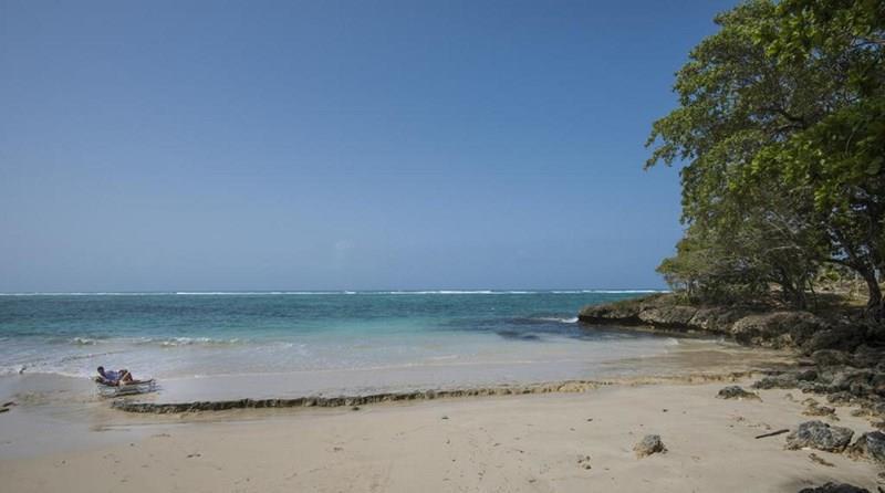 Villa Maguana 3* суреті