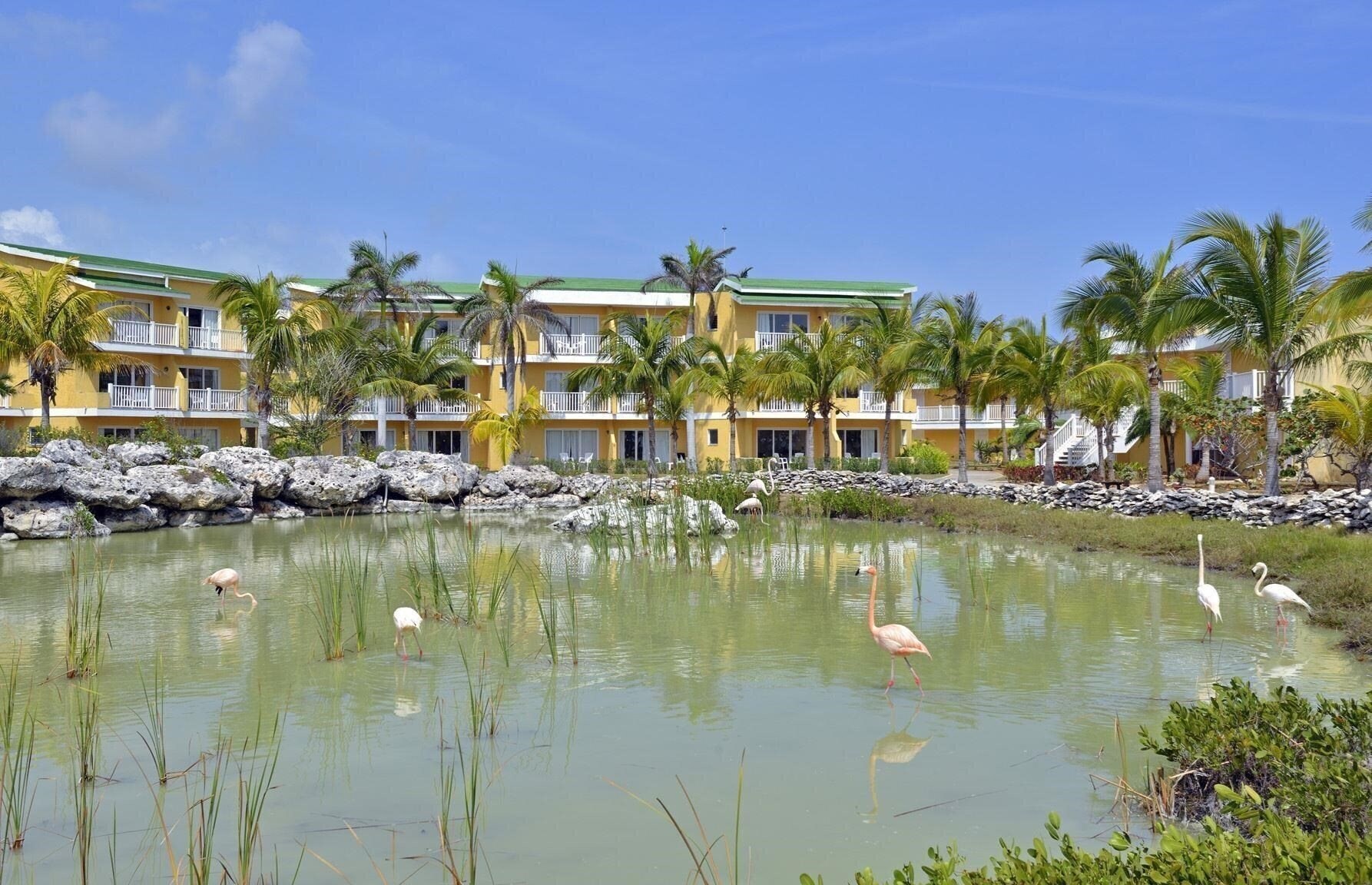 Tryp Cayo Coco 4* суреті