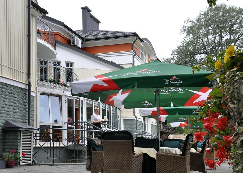 Violeta 4* суреті