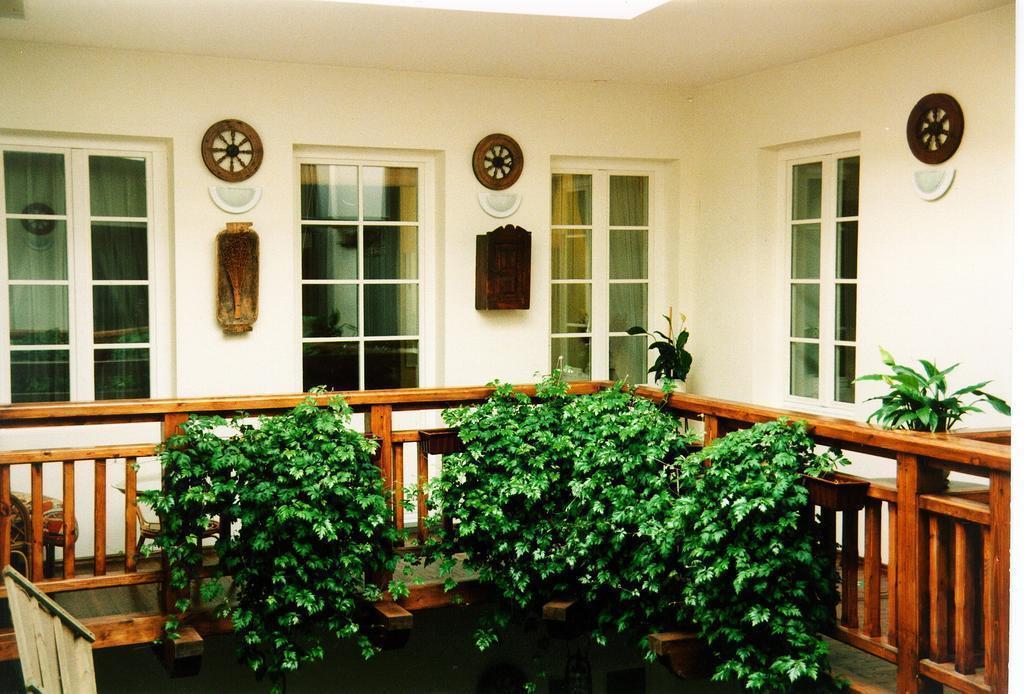 Centro Kubas 3* суреті