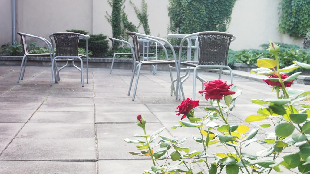 Фотография Telecom Guest 3*