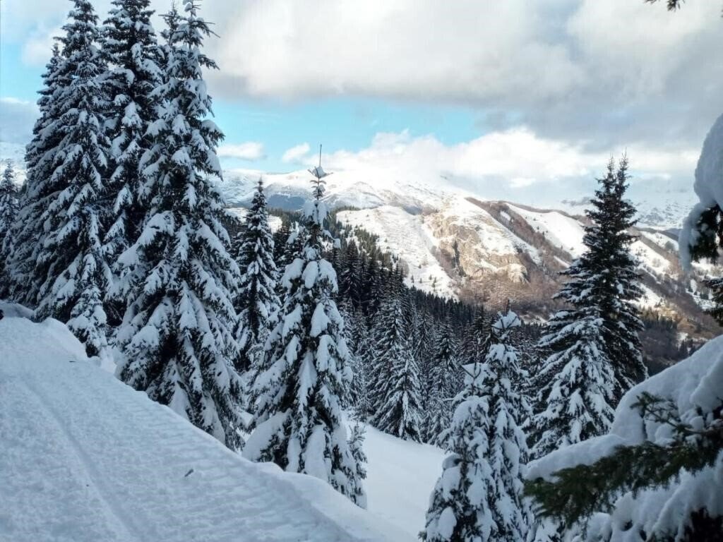 Картинка Scardus 3*