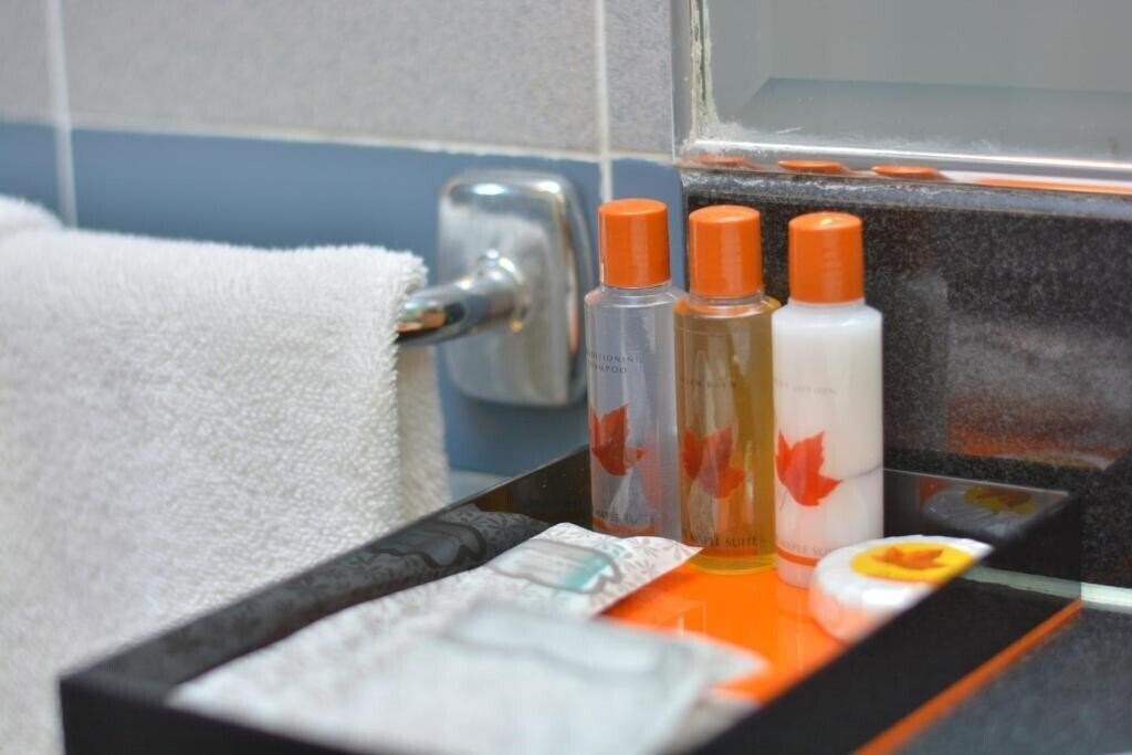 The Maple Suite 3* қонақ үйі