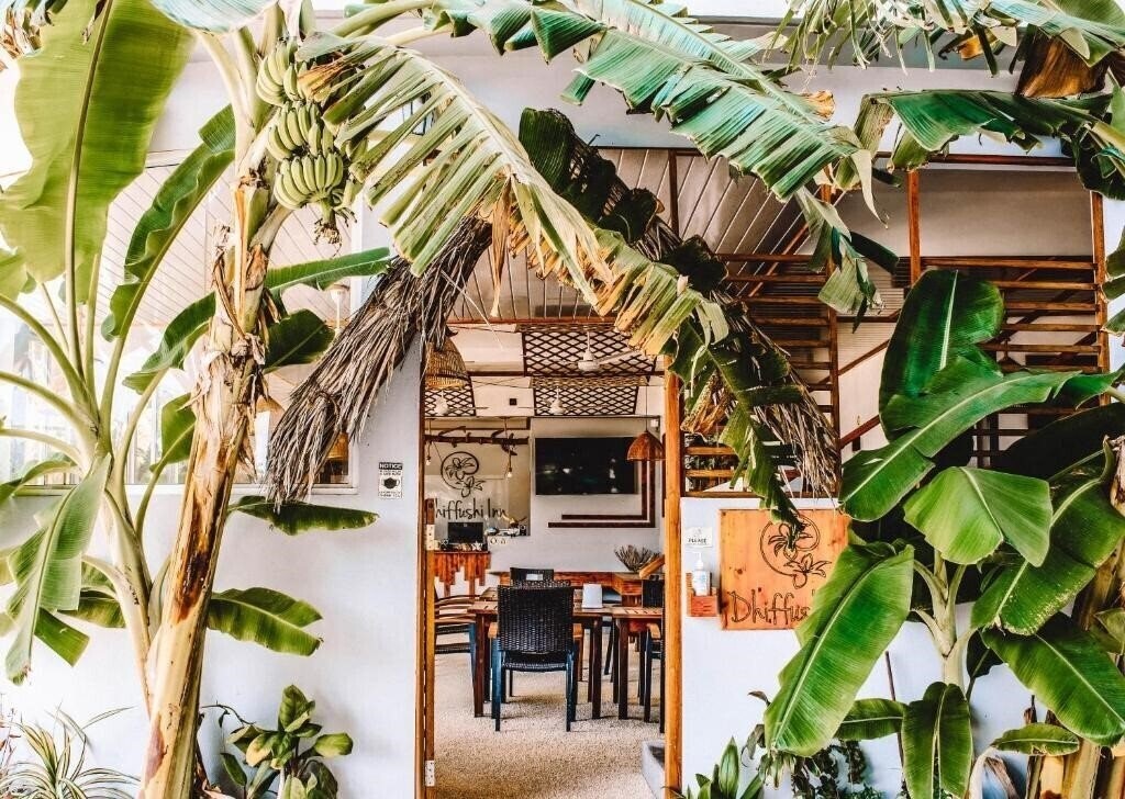 Air Dhiffushi 3* қонақ үйі