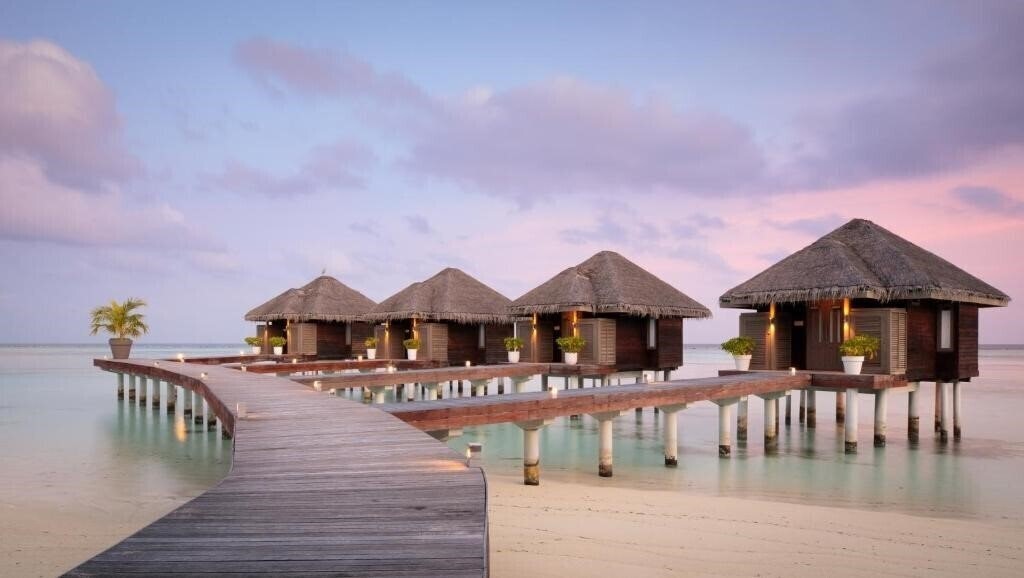 Фото Lux South Ari Atoll 5*