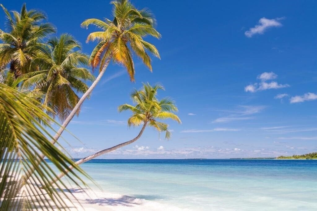 Картинка Dhonfulhafi Beach View & Spa Guest House гостиный двор