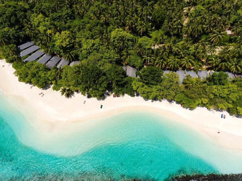 Royal Island Resort & SPA 5* суреті
