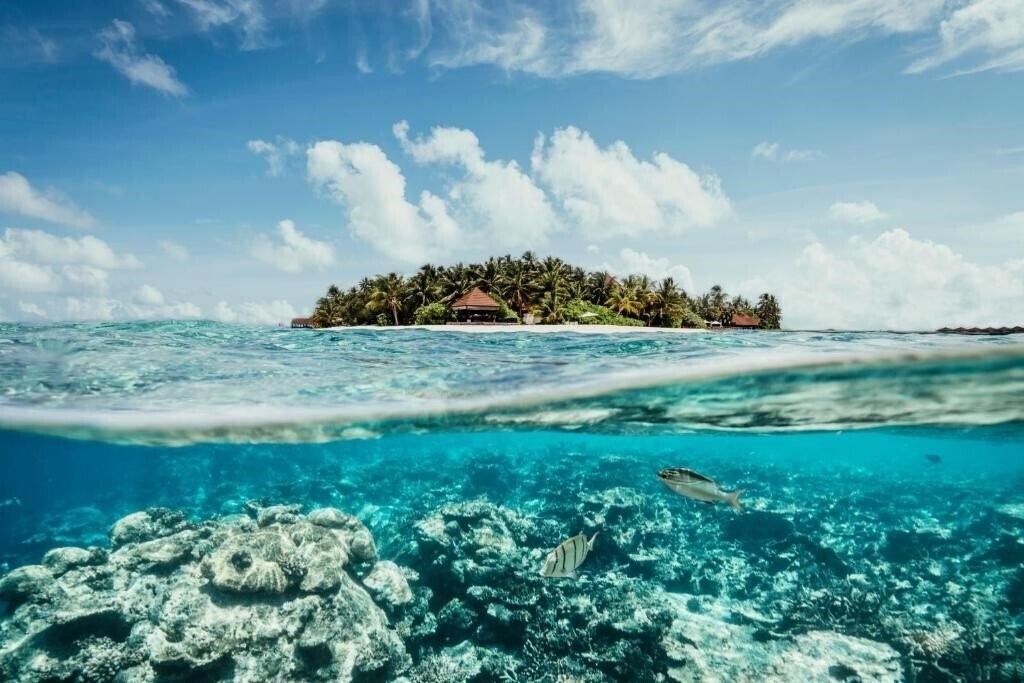 Отель Robinson Maldives 4*