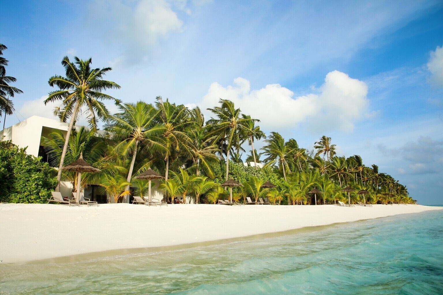 Фотография Riu Palace Maldives 5*