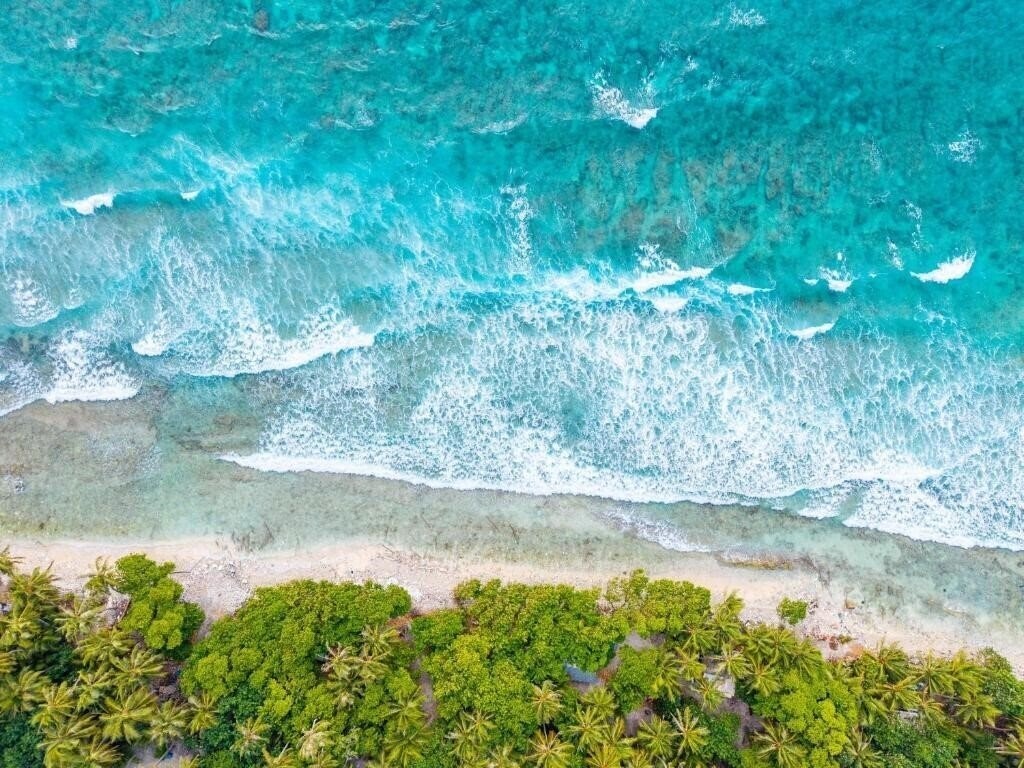 Pavona Maldives 3* суреті