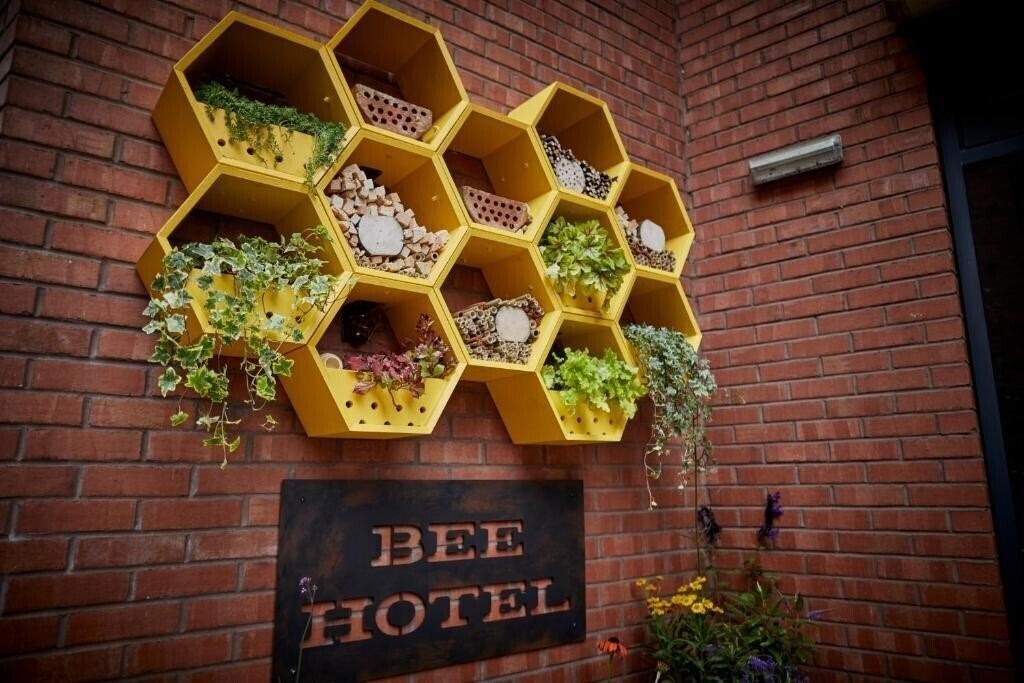 Fushifaru Maldives 5* суреті